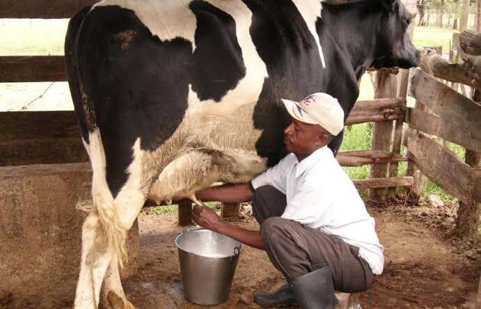 Uganda milk production up by 1 billion litres in 2022/23