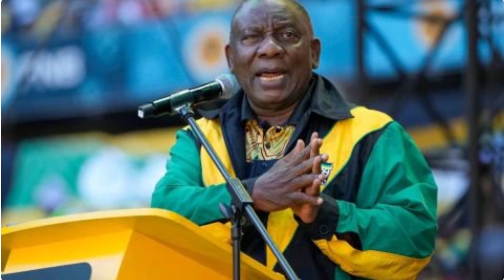 What happens next in South Africa after ANC loses majority?