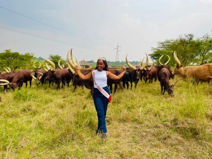 Miss Ankole commends Dr. Rukaari for preserving Ankole heritage of long-horned cattle