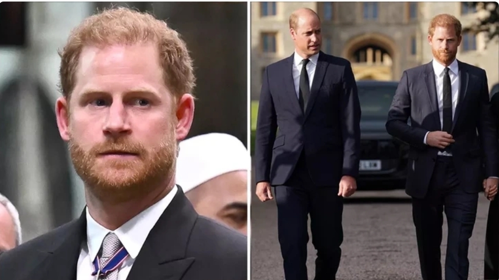 Prince Harry 'heartbroken and horrified' in moment Prince William finally takes his side