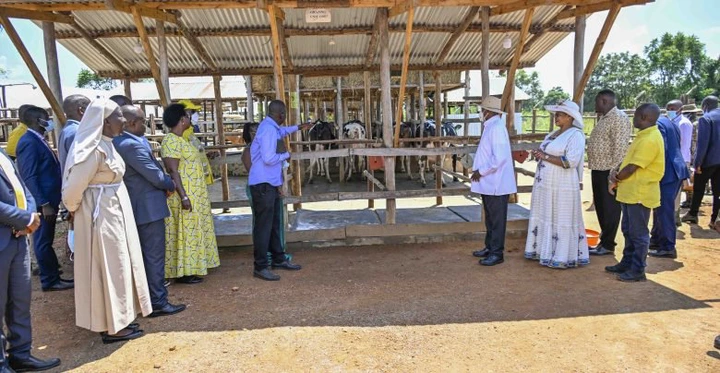 How Museveni’s 4-Acre Model Message Transformed the Life of Serere Farmer