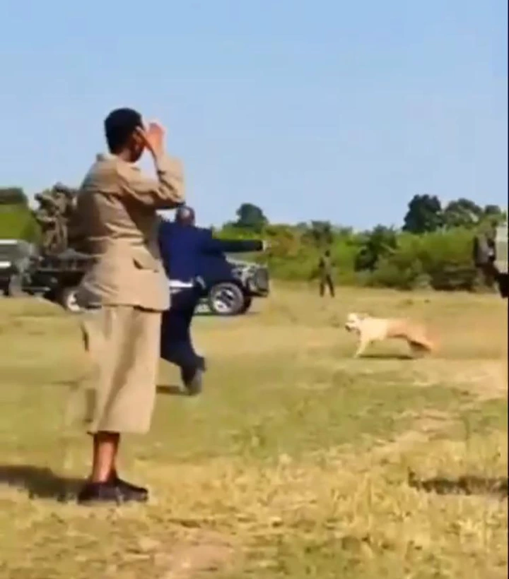 Drama as Bodyguards Take Action As Stray Dog Runs Towards President Yoweri Museveni 