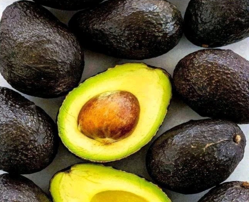 Drink A Cup Of Avocado Seed Tea Daily To Treat These Dangerous Disease