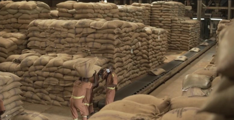 Major Coffee Investment in Luwero to Boost Uganda’s Value-Added Export