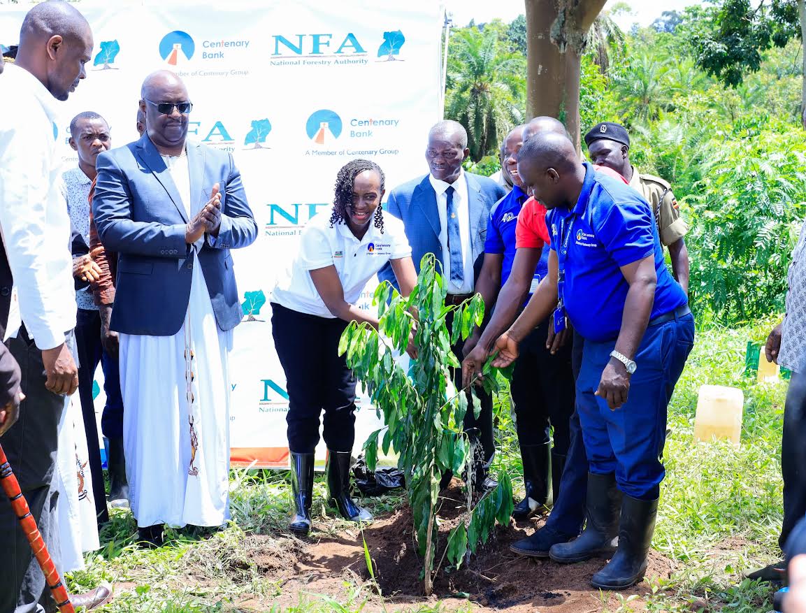 Centenary, NFA Start Restoration of Masindi Central Forest Reserve's 20 Hectares