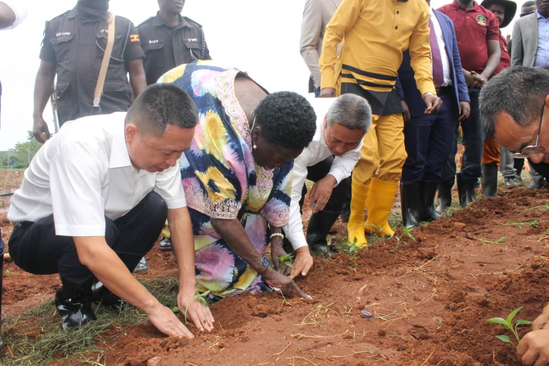 VP Alupo Launches Chili Project to Propel Busoga's Economic Transformation