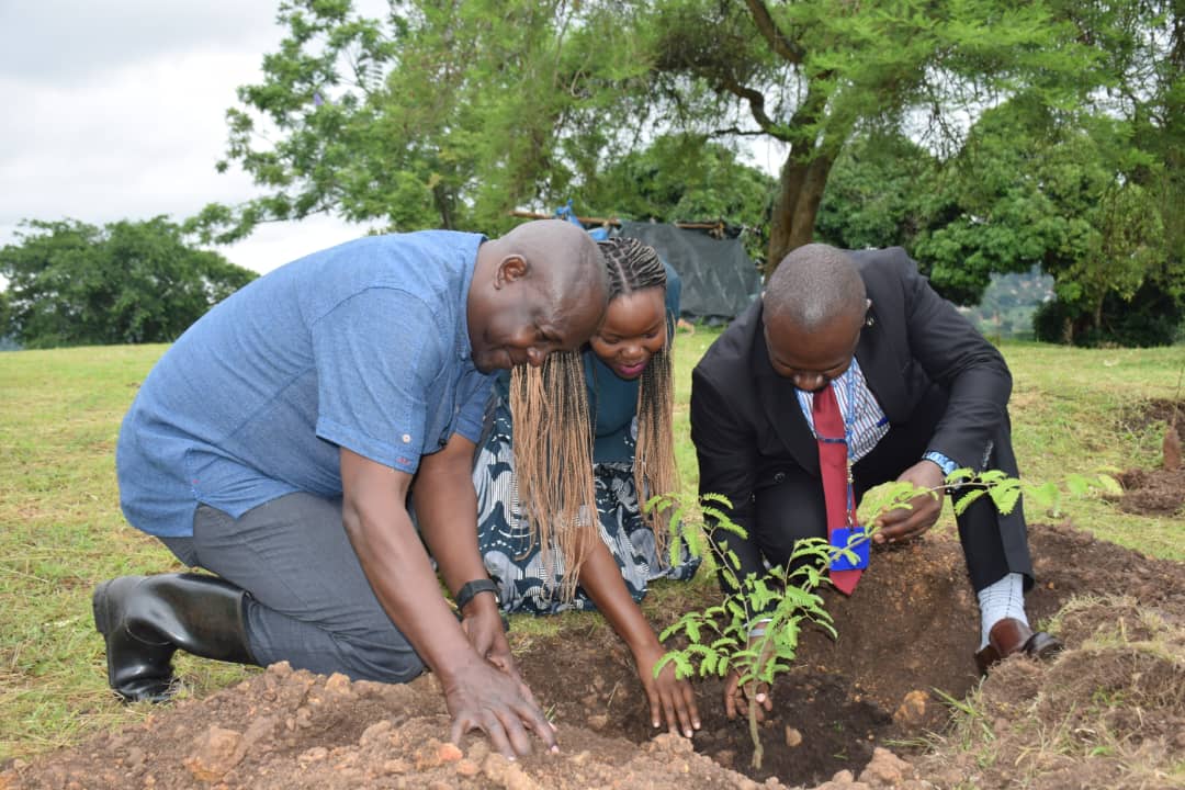 Buganda Partners With Centenary Bank in Tree-Planting Drive