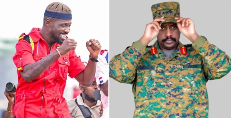'Abduct Bobi Wine & Take Him To Your Basement To Learn Runyankore If You Can' Nambooze Dares Muhoozi