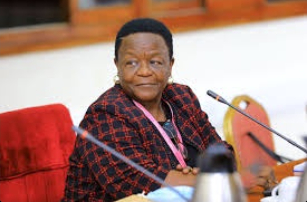 Here’s Why Museveni Is Sure PSC’s Winnie Kabogoza Will Fix The Chaos at URBRA Once And For All