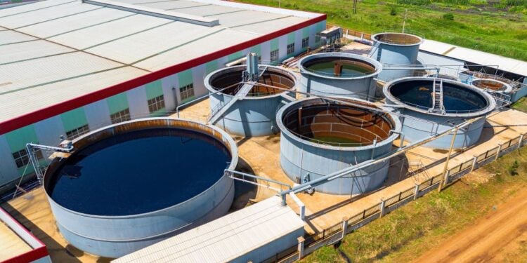 Chinese Factories in Mbale Industrial Park Rise to Champion Environmental Protection