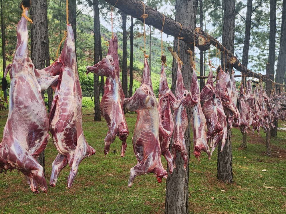 Eid Al Adha: MP Yeri Ofwono Slaughters 100 Cows, 1000 Goats for Needy Muslims in Tororo