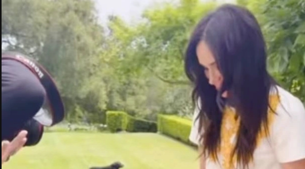 Meghan Markle shares behind scenes glimpse of Lilibet with toy loved by royal cousins