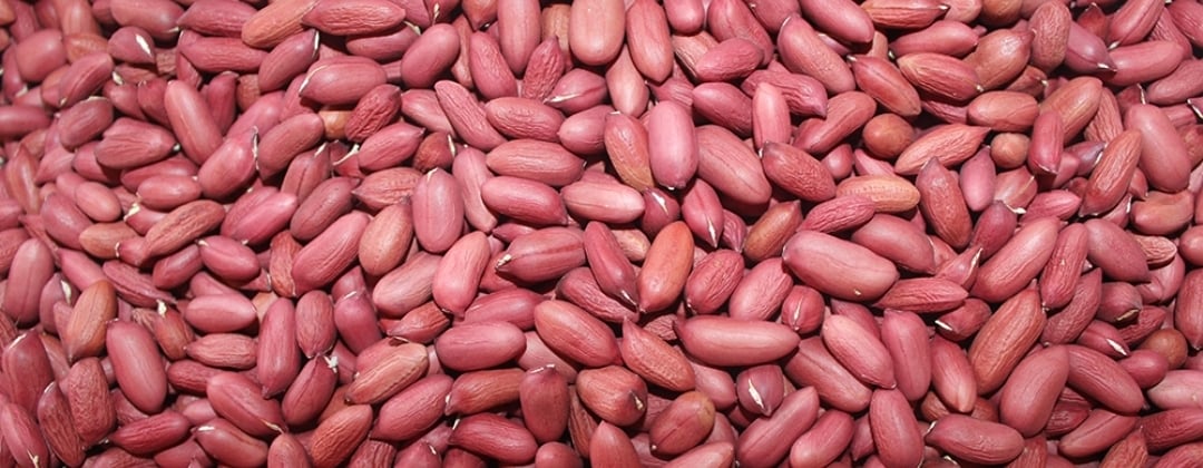 NARO Unveils Breakthrough Aflasafe Solution to Combat Aflatoxins in Ugandan Cereals