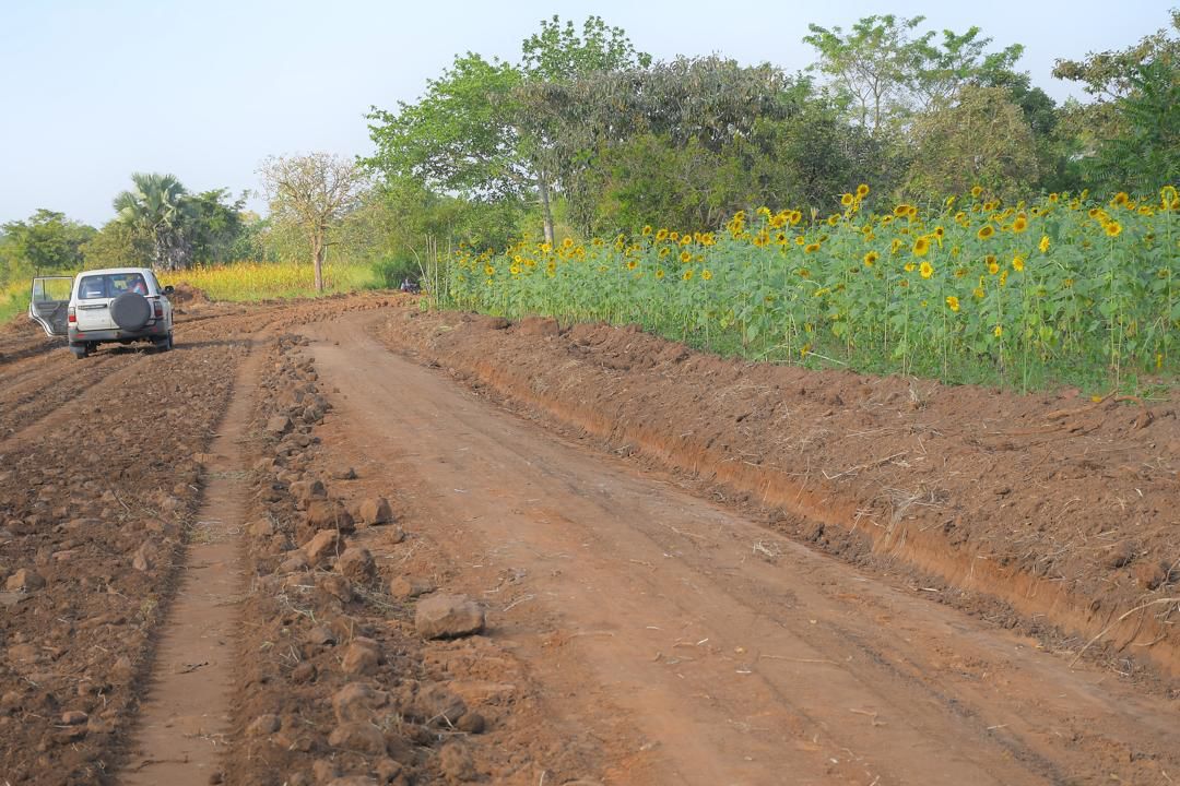 Govt community roads initiative boosts market access for oilseed farmers in 81 districts
