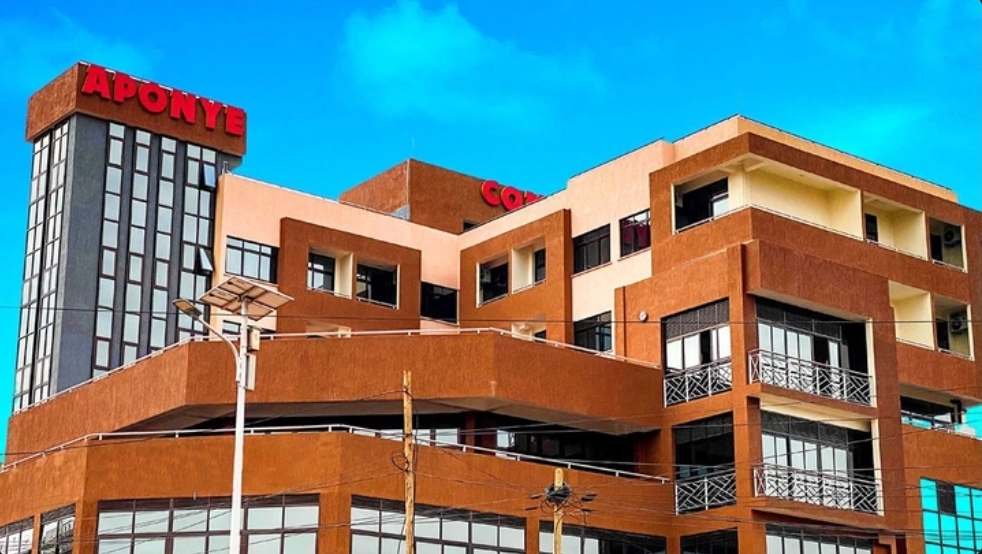 The Rise And Fall Of The Aponye Business Empire: From Agro Giant To Debt Distress