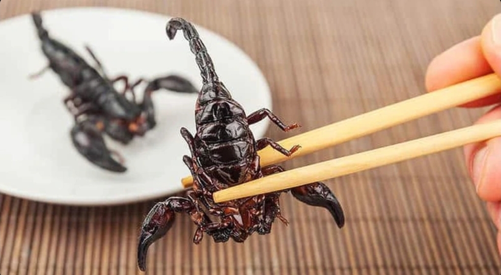 Deadliest delicacies: 10 deadly animals that people actually eat around the world