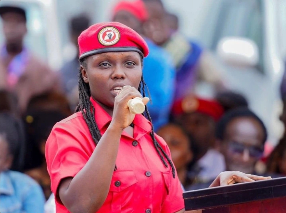 Head of NUP Leadership Training School Doreen Kaija ‘kidnapped’