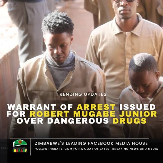 Zimbabwe: Robert Mugabe Jnr Issued With Arrest Warrant