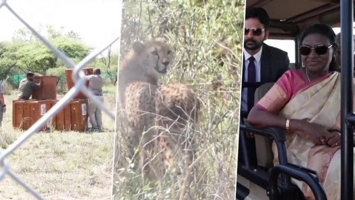 Over 10 Presidents Jet into Kenya to Attend AU Meeting