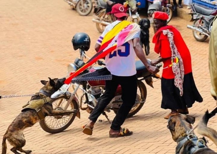 Law Society condemns deployment of police dogs, chaotic arrests at NUP Rally.