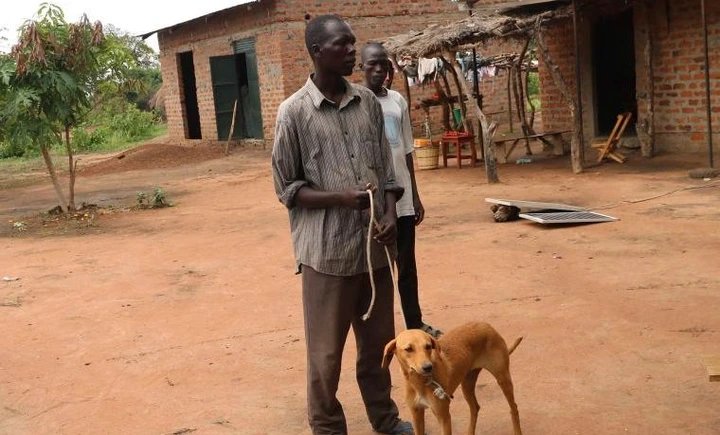 Three dead as Lira City grapples with rising dog bites and rabies fears