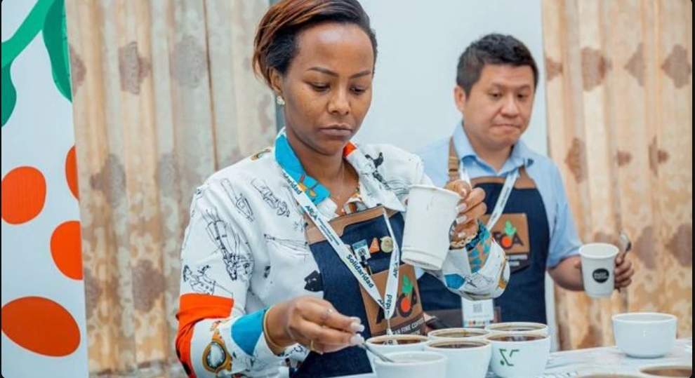 Uganda Coffee Exports Hit 8.4m Bags Worth Shs8.2Trillion in 12 Months