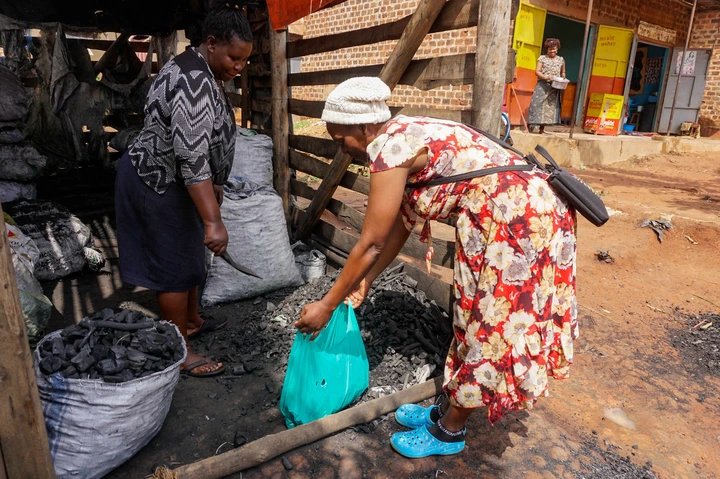 Inside Uganda’s billion-dollar struggle to quit charcoal
