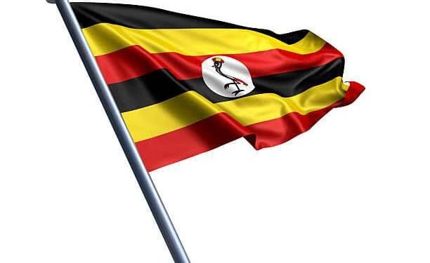 Why Hellen Seku’s flag warning lacks legal merit