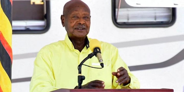 Uganda bans live broadcasts of riots and 'unlawful processions' ahead of vote