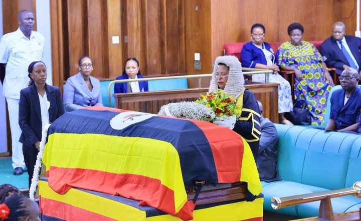 What exactly killed Ngora Woman MP Stella Apolot Isodo?