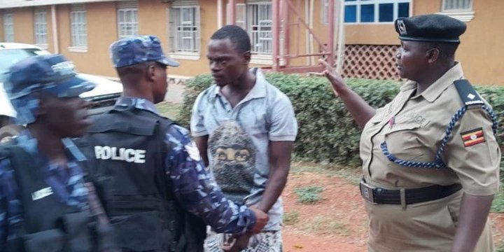 Youth MP Elections 2026: Arrests Over Forged Delegate Cards, Noise over Facilitation Money, Massive Voter Bribery