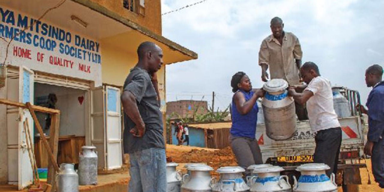 Museveni halts Central Bank directive on Sacco licensing