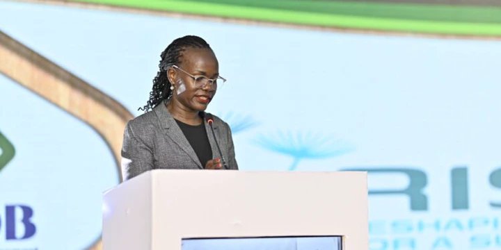 UDB secures 40 million euros to expand financing for women and youth-led ventures