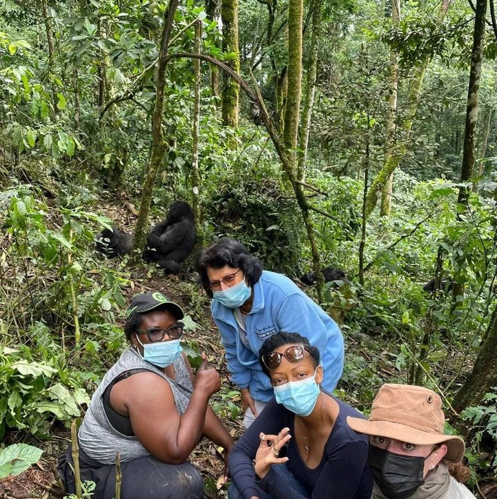 Bwindi census results bolster Uganda’s status as Africa’s primate capital