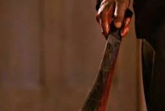 Woman Stabs Ex-Boyfriend with Broken Plate After Midnight Fight