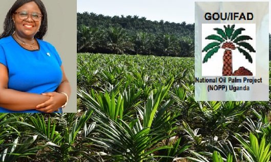OIL PALM PROJECT IN TROUBLE! Billions Idle, Land Unused, Factory Stalled — Has Masaba Outstayed Her Welcome?