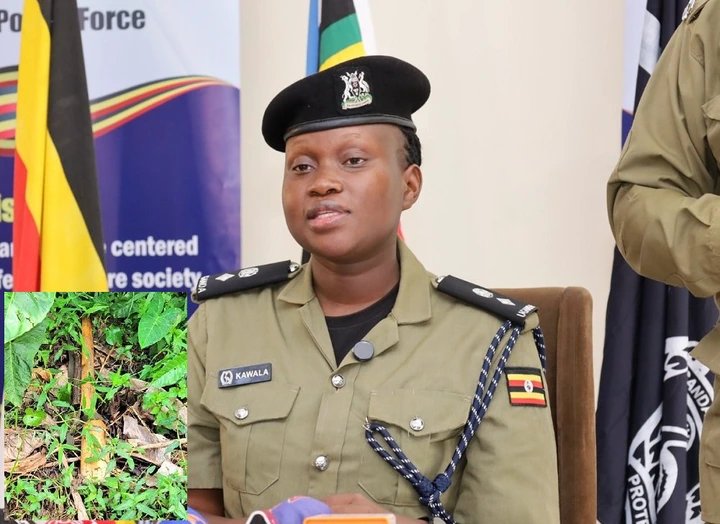 Police recover gun stolen during armed robbery at Wakiso Stabex fuel station