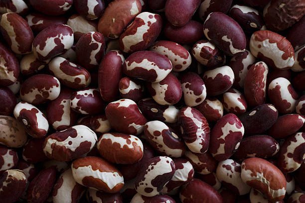 Rebecca Kadaga Calls for Ban on Kenyan Traders Buying Food Directly From Ugandan Farms