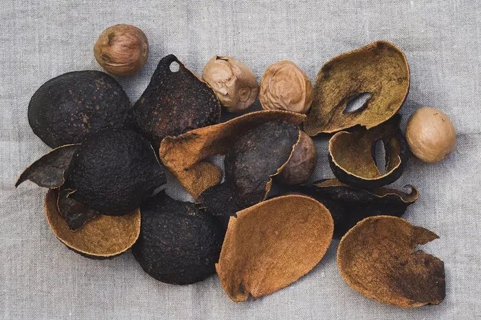 Don’t throw it away: Simple ways you can turn avocado peels into useful products