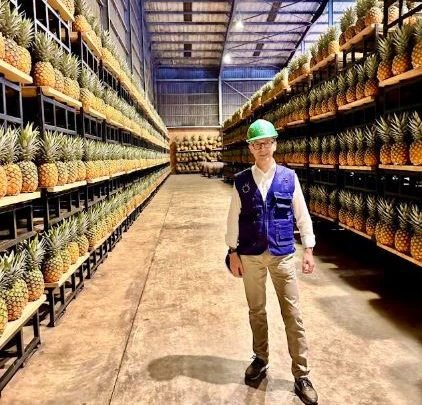 EU to Open Kalangala Consulate, Build Airport to Boost Uganda’s Pineapple Exports