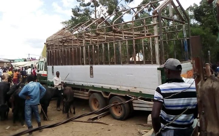 Three Killed in Tragic Truck Crash at Kyenshama Cattle Market in Mbarara District