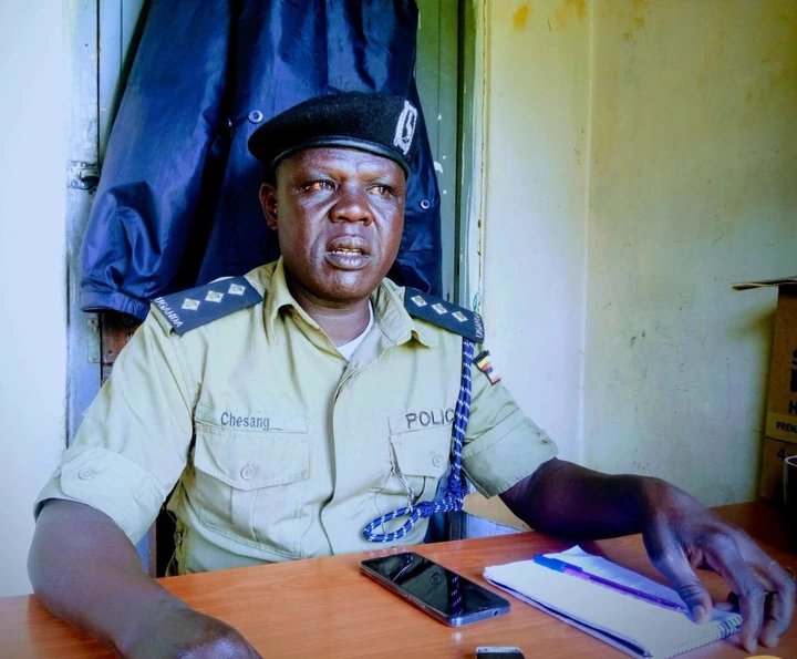 20 Cattle Stolen During Easter Raids in Kapchorwa