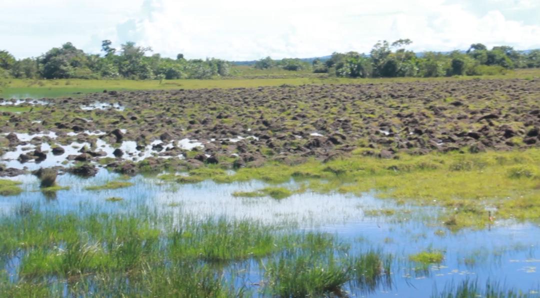 Masaka Industrial Park Project Hit by Flooding  concerns