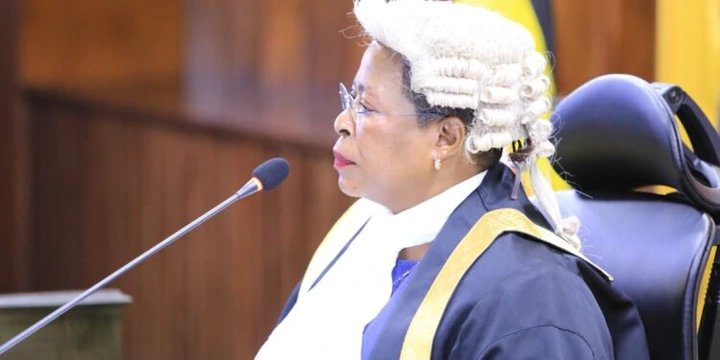 KYANKWANZI RETREAT: Among tells incoming MPs to support seven-year term for political offices