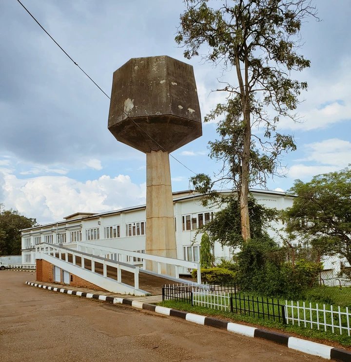 127 Makerere Veterinary Students Have Gone Over A Month Without Lectures — And The University Has Not Responded To Six Petitions