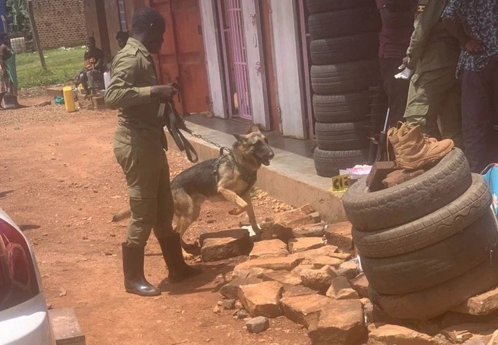 Police use sniffer dog to bust car parts theft ring in Kasangati, three arrested