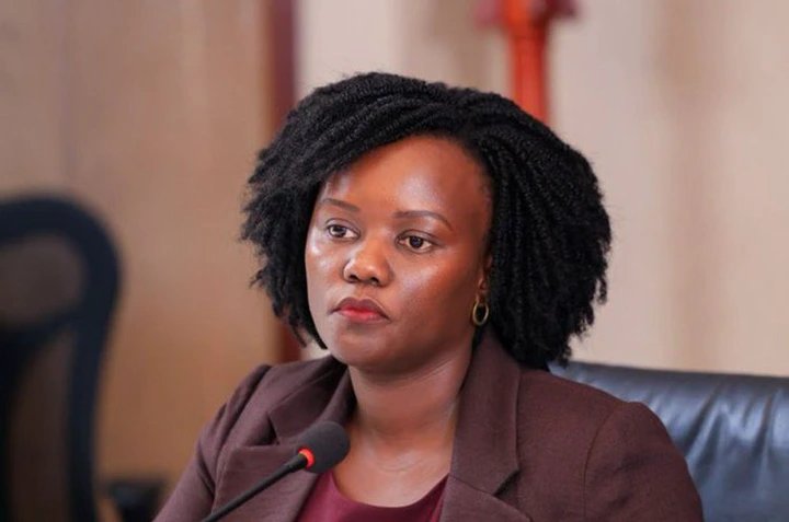 Senior Legal Officer Breaks Down Uganda’s Mining Law From Prospecting to Extraction