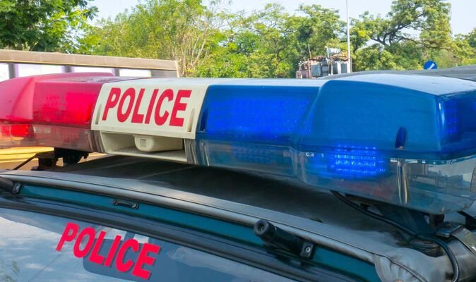 Horror as twin sisters, 11, die after having their throats slit at home - father arrested