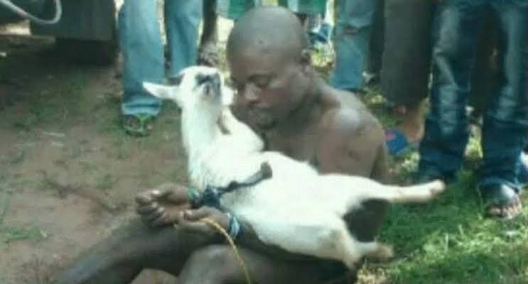 Suspected goat thief lynched by mob in Buyende