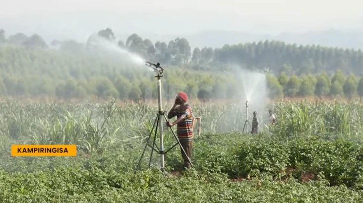 Gender Ministry Officials Accused of Sharing 30 Acres of Land as Ministries Frustrate M7’s Kampiringisa Fertilizers Project-80BN PROJECT AT STAKE!